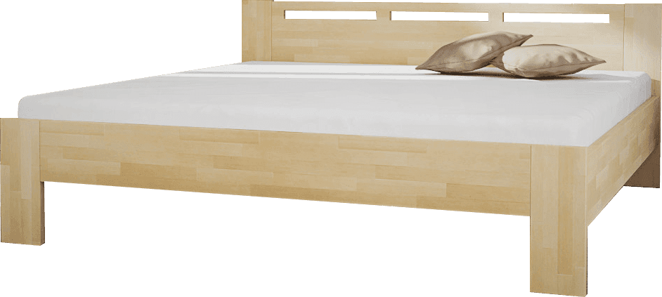 mrava_bed VELIA