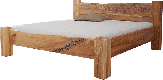 mrava_bed DANTE